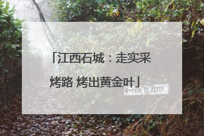 江西石城：走实采烤路 烤出黄金叶